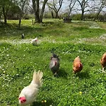 Les De La Petite Toscane *