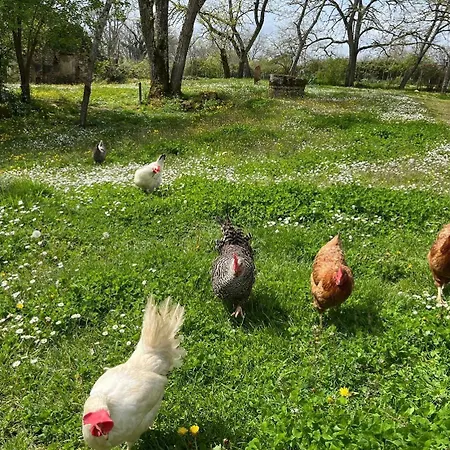 Les De La Petite Toscane *