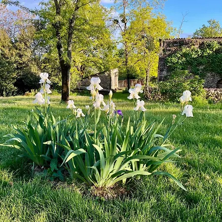 Vakantiehuis Les De La Petite Toscane *