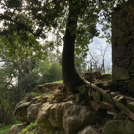 Les De La Petite Toscane Vakantiehuis *