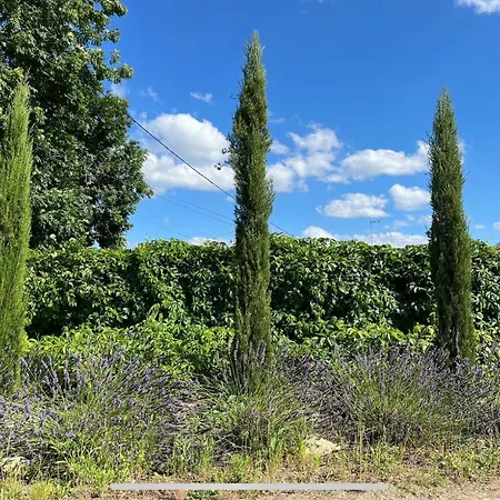 Les De La Petite Toscane Mauriac (Aquitaine)