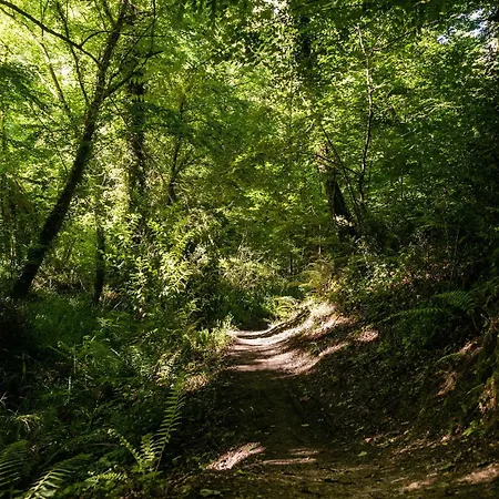 Les De La Petite Toscane Vakantiehuis *